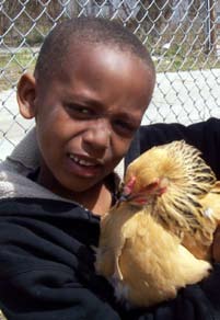 Boy with a chicken.